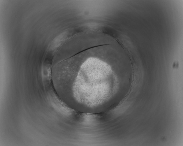 X0000114600336200911161400