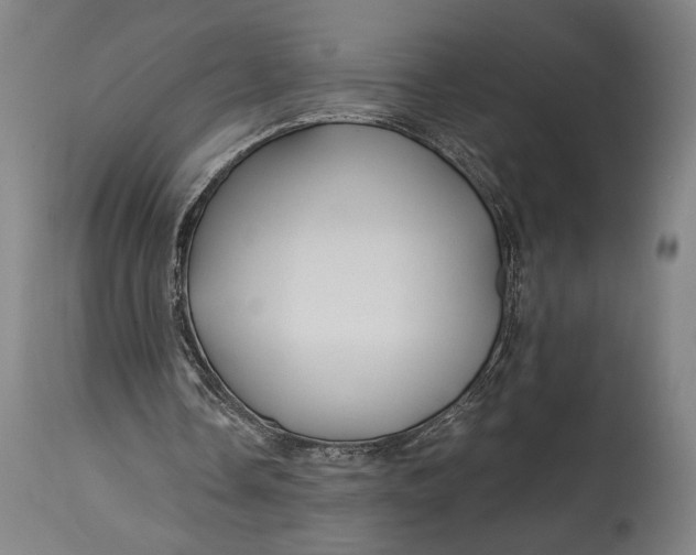 X0000114600338200911161400