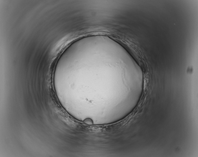 X0000114600339200911161400