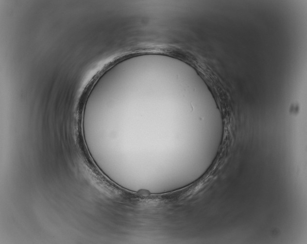 X0000114600342200911161400