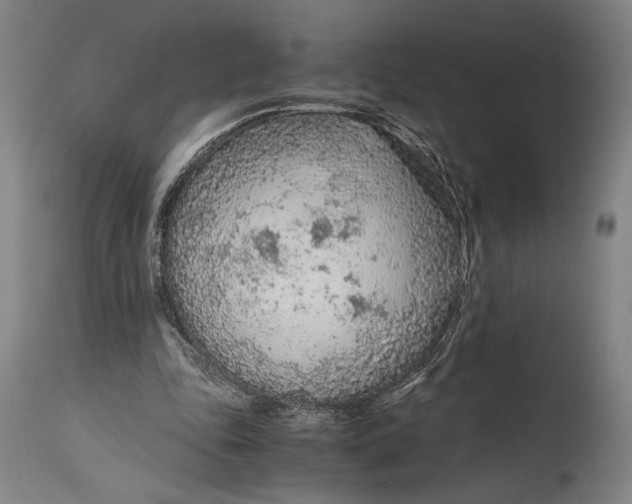 X0000114600343200911161400