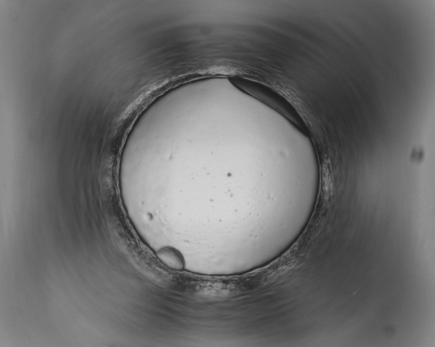 X0000114600347200911161400