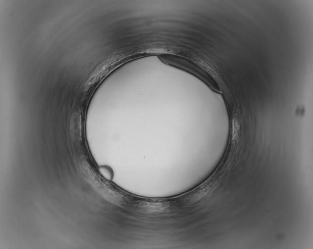 X0000114600349200911161400