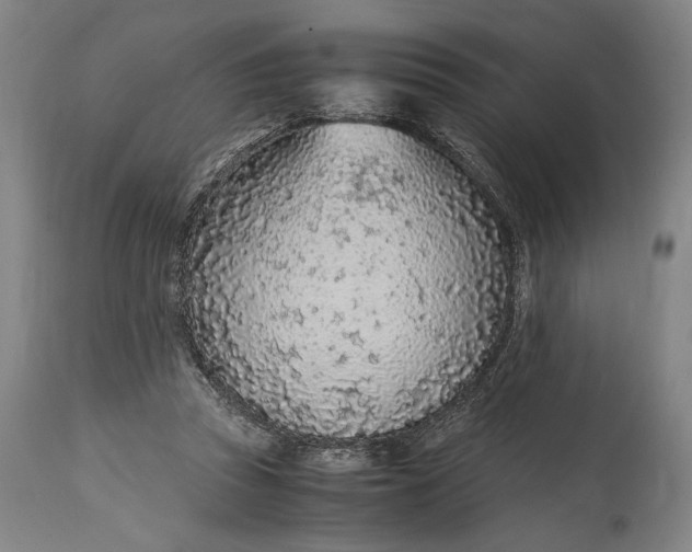 X0000114600353200911161400