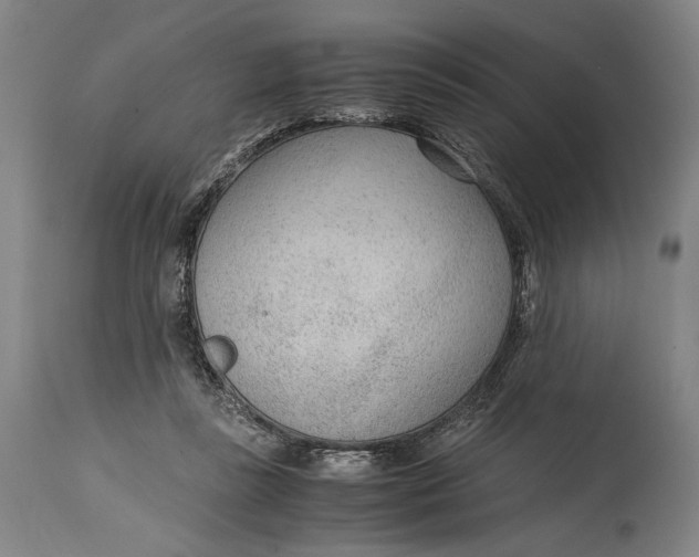 X0000114600355200911161400