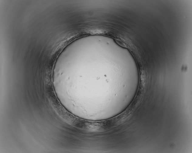 X0000114600359200911161400