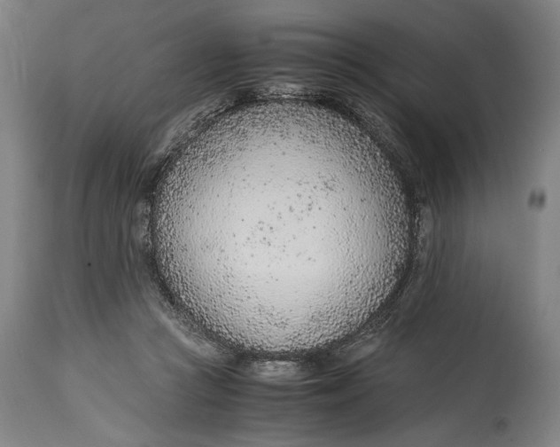 X0000114600361200911161400