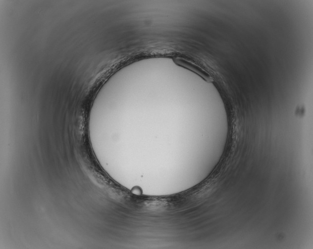 X0000114600362200911161400