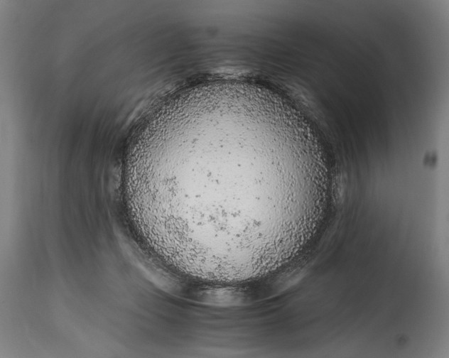 X0000114600365200911161400