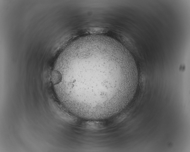 X0000114600367200911161400