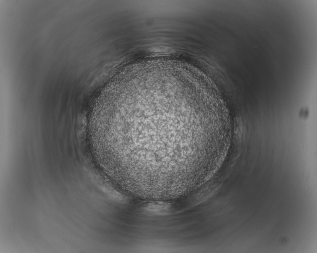 X0000114600369200911161400