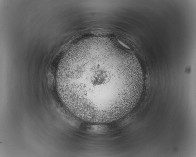 X0000114600371200911161400