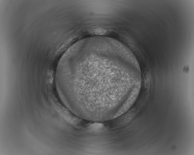 X0000114600374200911161400