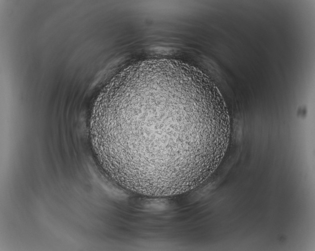 X0000114600377200911161400