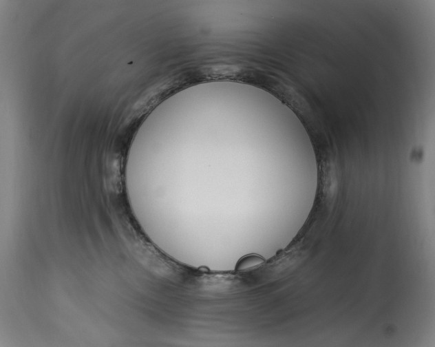 X0000114600378200911161400