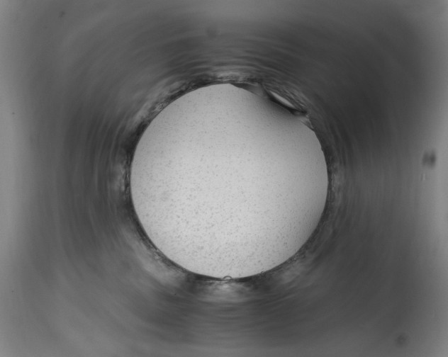 X0000114600379200911161400