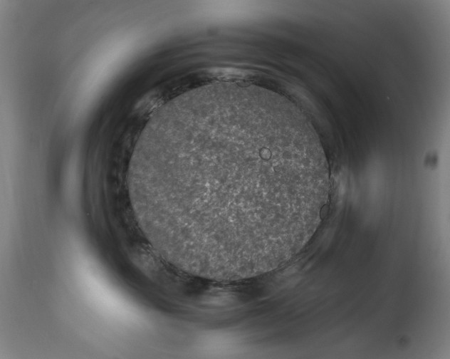 X0000114600381200911161400