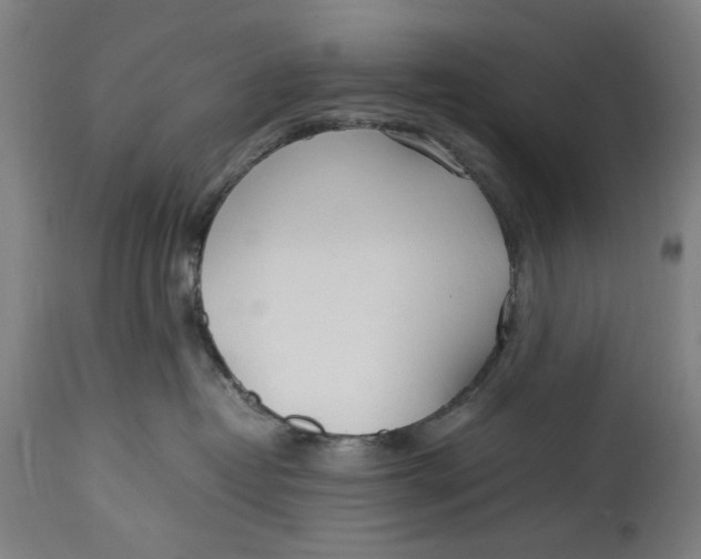 X0000114600382200911161400