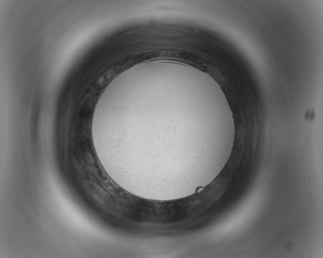 X0000114600383200911161400