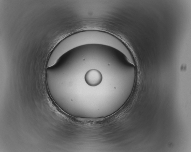 X0000114600385200911161359