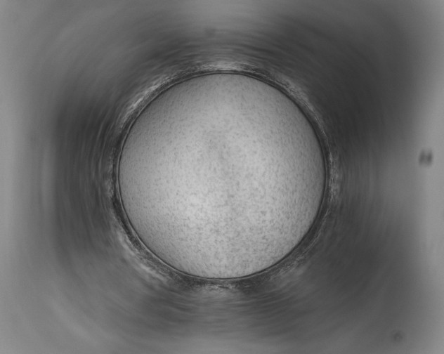 X0000114600386200911161359