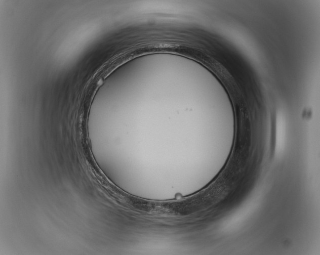 X0000114600387200911161359