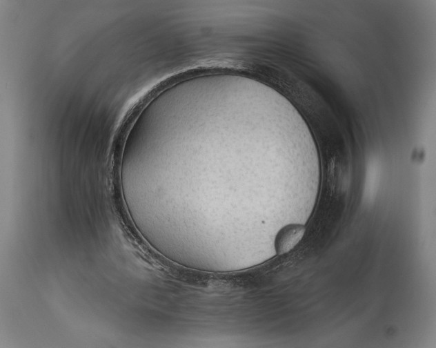 X0000114600388200911161359