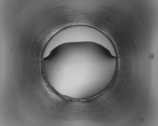 X0000114600389200911161359