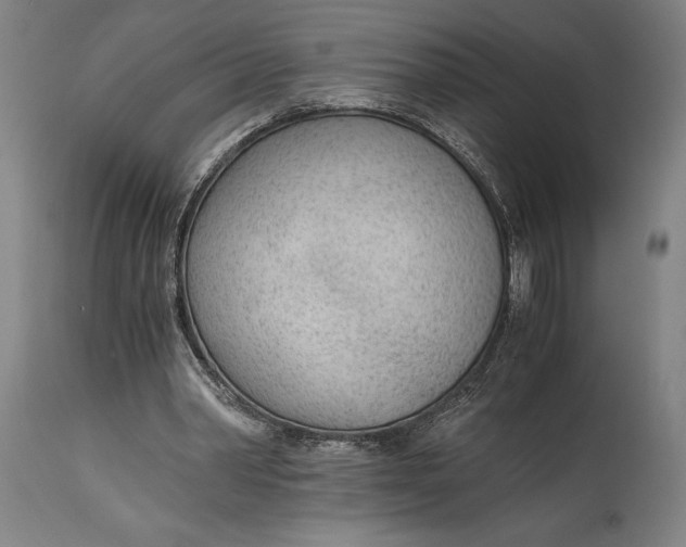 X0000114600390200911161359