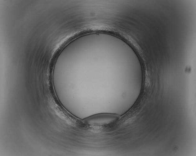 X0000114600391200911161359