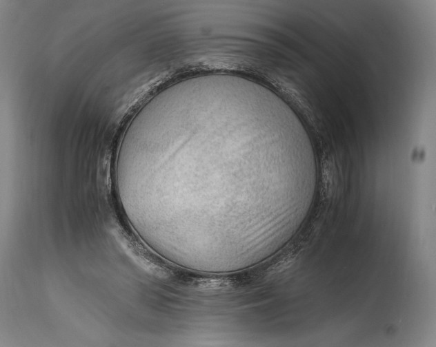 X0000114600398200911161359