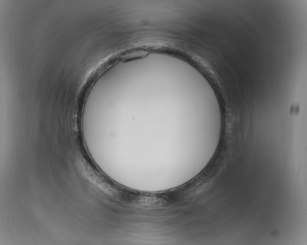 X0000114600399200911161359