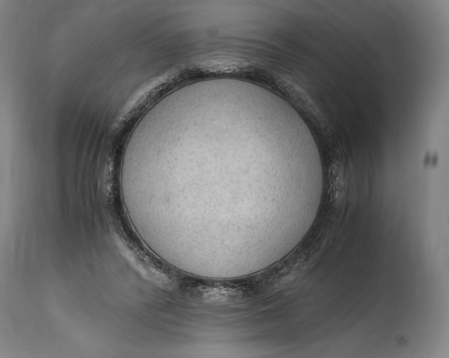 X0000114600400200911161359