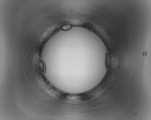 X0000114600407200911161359