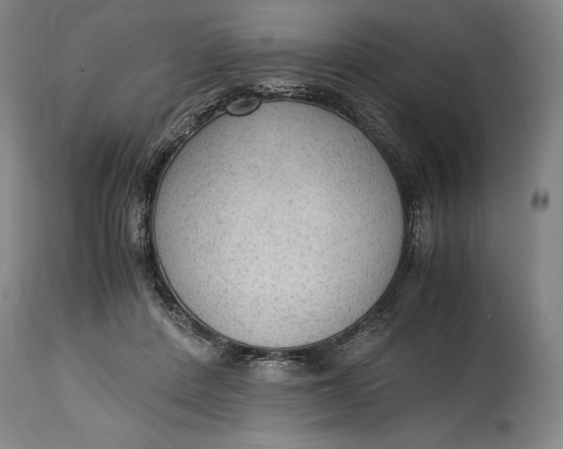 X0000114600408200911161359