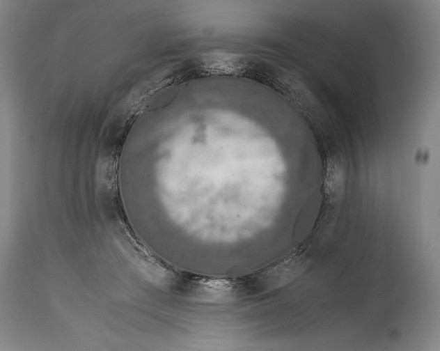 X0000114600409200911161359