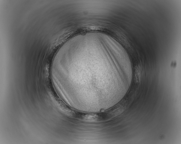 X0000114600410200911161359