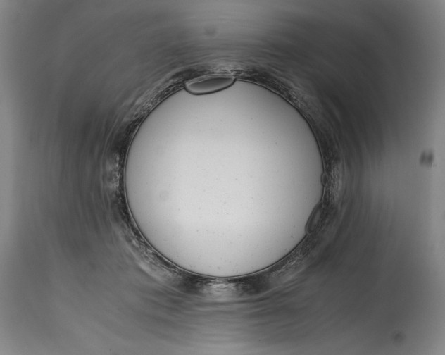 X0000114600413200911161359