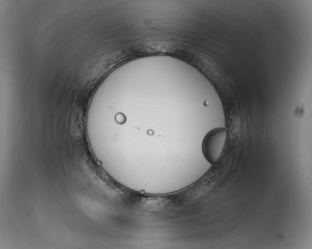 X0000114600414200911161359