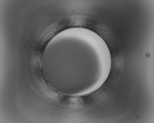 X0000114600415200911161359