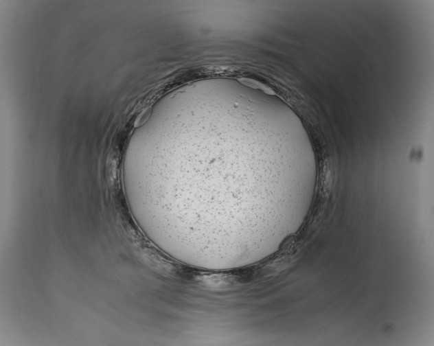 X0000114600417200911161359