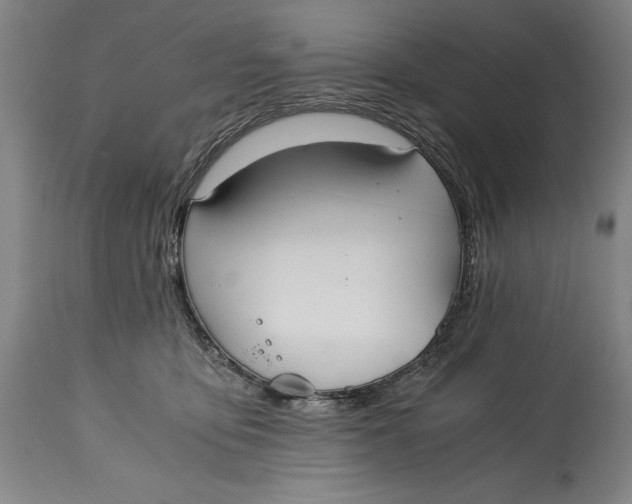 X0000114600419200911161359