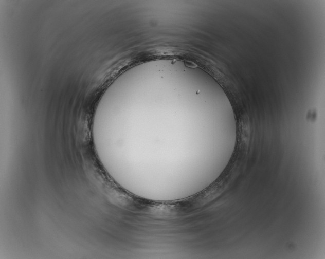 X0000114600422200911161359