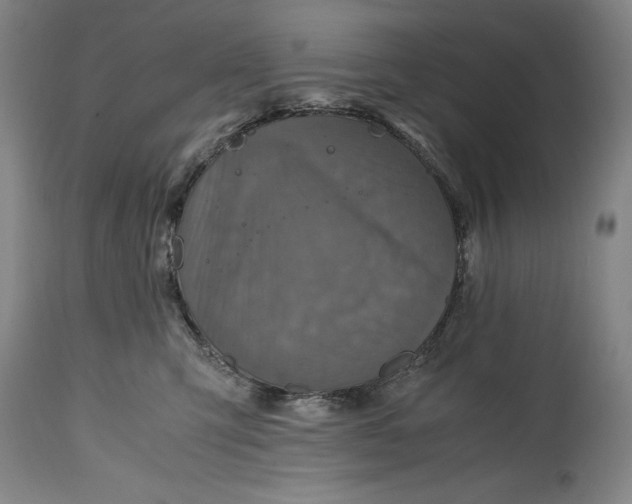 X0000114600423200911161359