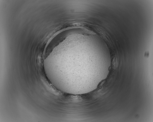 X0000114600424200911161359