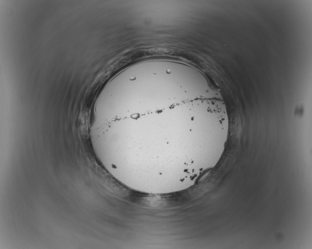 X0000114600425200911161359