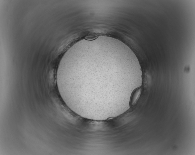 X0000114600428200911161359