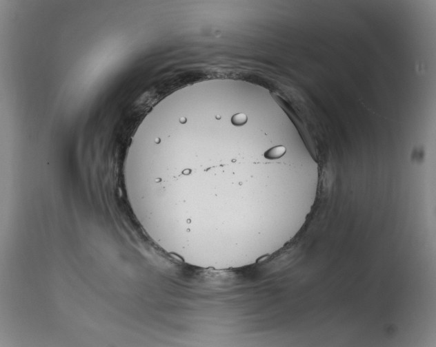 X0000114600429200911161359