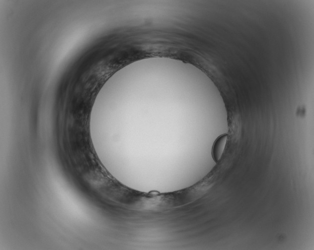 X0000114600430200911161359