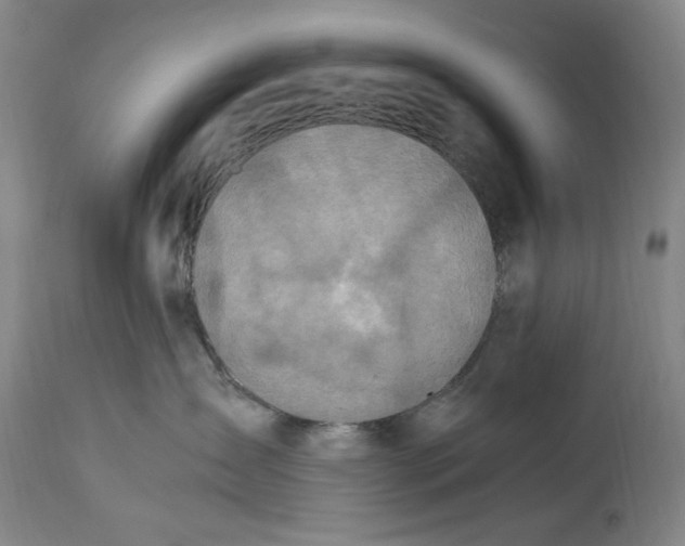 X0000114600431200911161359